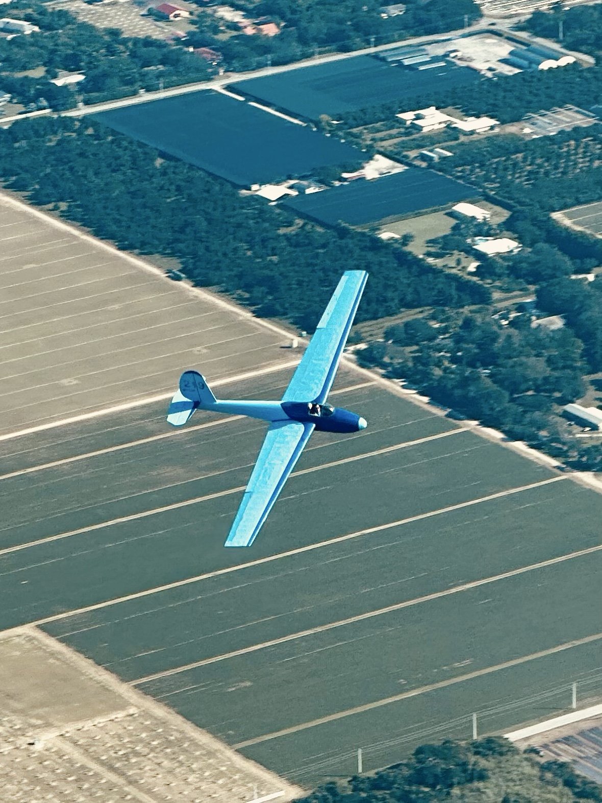 Ernesto flying his classic blue Schweizer 1-26 over the South Florida fields