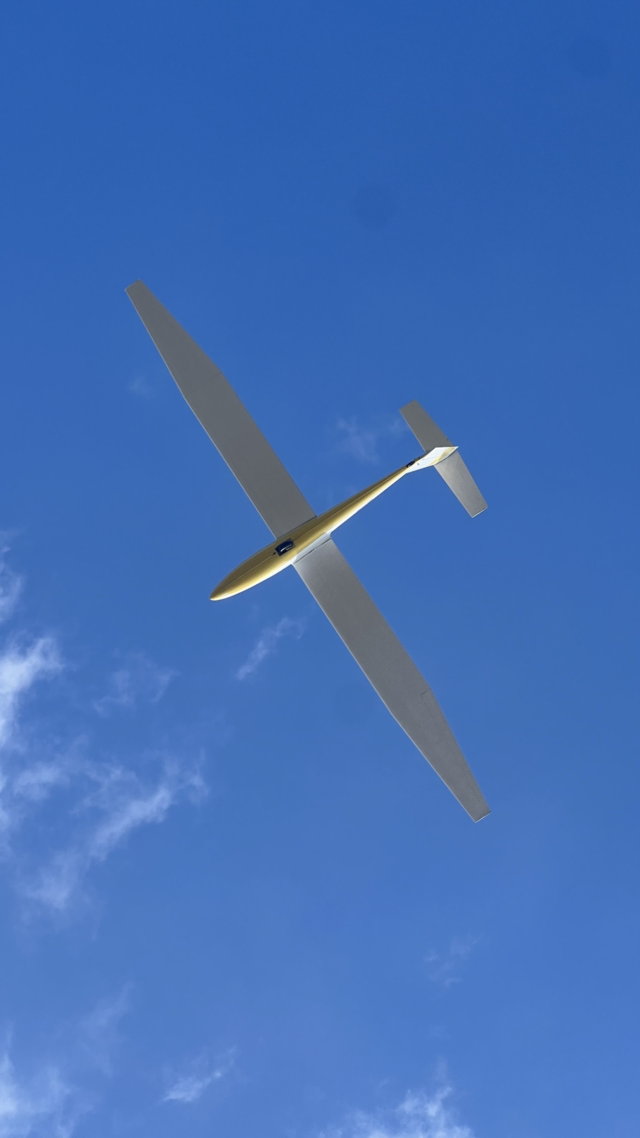 Pilatus B4 sailplane viewed from below