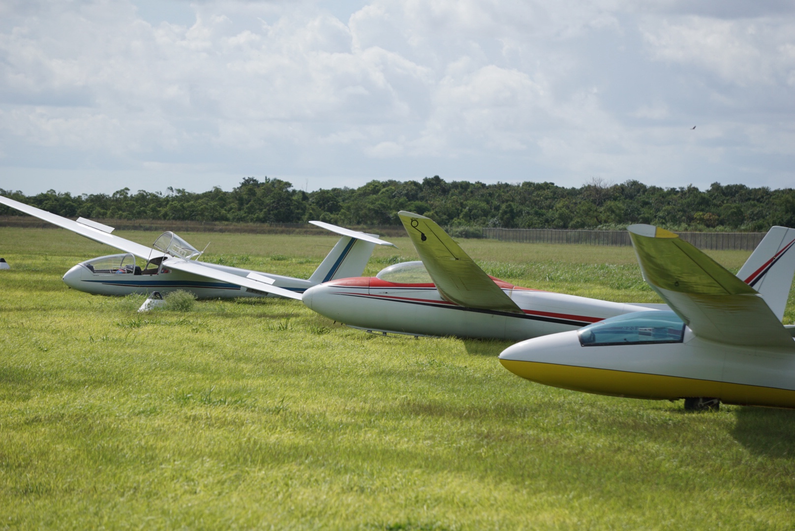 Multiple sailplanes staged on the flight line
