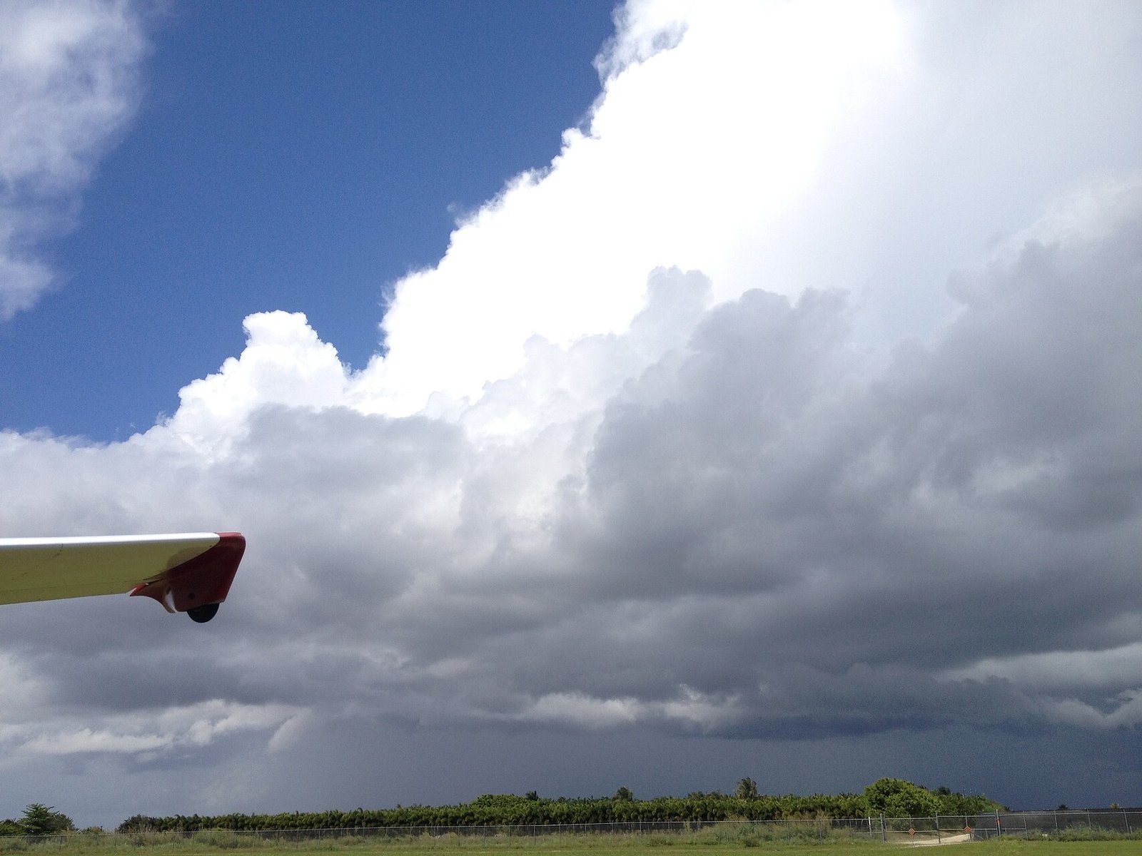 Wingtip framed against a tower of South Florida cumulus